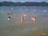 camping2005017_small.jpg