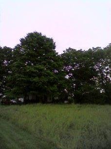 a2b5b6ed678.jpg