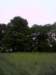 a2b5b6ed678_small.jpg