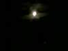 ba4c3697f73e_small.jpg