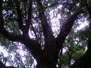 bb2c05f34c8.jpg