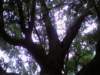 bb2c05f34c8_small.jpg