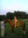 c066d924b_small.jpg