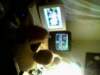 cc19dd7a28_small.jpg
