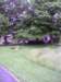 d0786f8d5317_small.jpg