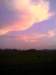d97a2a5f68_small.jpg