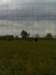 f8951be2846d_small.jpg