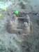 a80584d738f2_small.jpg