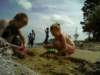 c6a3b93f5143_small.jpg