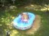 dbbaa45455f1_small.jpg
