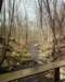 photo0034a_small.jpg