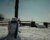 photo0042_small.jpg