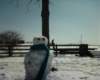 photo0043_small.jpg