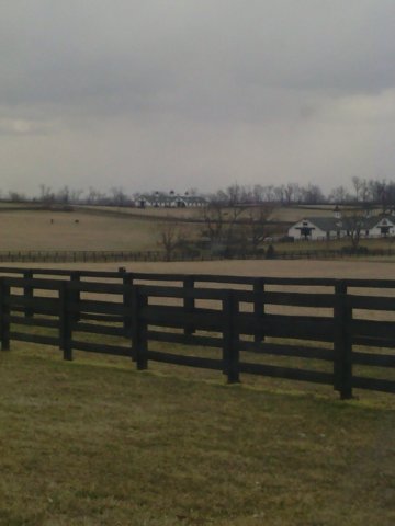 img_20130216_120619.jpg