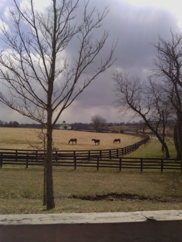 img_20130216_120729.jpg