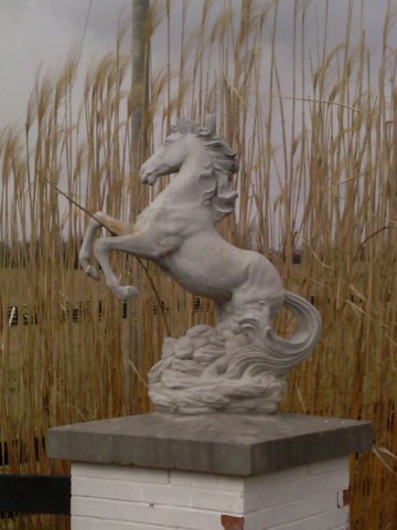 img_20130216_120958.jpg
