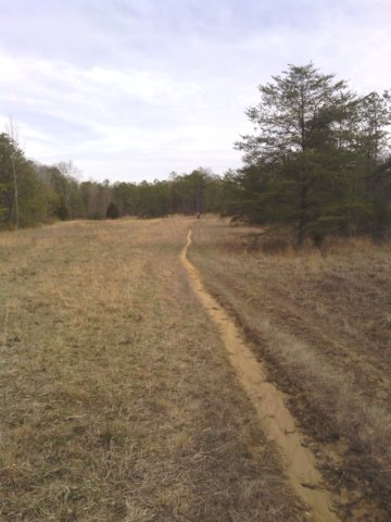 img_20130310_150923.jpg
