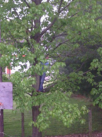 img_20130507_184545.jpg