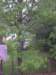 img_20130507_184545_small.jpg