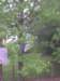 img_20130507_184555_small.jpg
