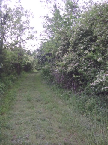 img_20130511_163654.jpg