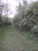 img_20130511_163654_small.jpg