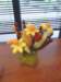 img_20130518_164622_small.jpg
