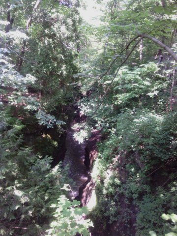 img_20130623_121650.jpg