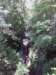 img_20130623_121650_small.jpg
