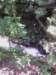 img_20130623_121707_small.jpg