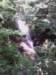 img_20130623_122244_small.jpg