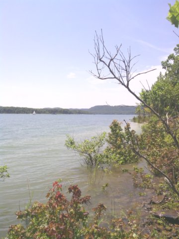 img_20130713_123553.jpg