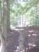 img_20130713_125226_small.jpg