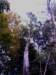 img_20140928_134232_small.jpg
