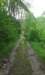 _142958_small.jpg