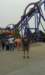 _190047_small.jpg