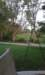 _194602_small.jpg