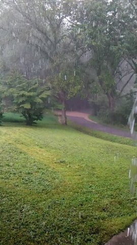 photo17.jpg