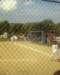 photo0013_small.jpg
