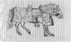 dane_knight_horse_small.jpg
