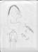 savannah_cartoon1_small.jpg