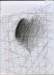 savannahheart_small.jpg