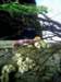 dc11d27e07_small.jpg
