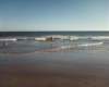 photo000132_small.jpg