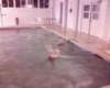 photo00034_small.jpg