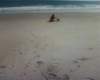 photo00159_small.jpg