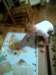 b8f9f47ead_small.jpg