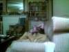 c0ea29abc5_small.jpg