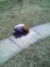 c5d8977d4e_small.jpg