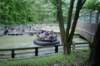 img019_small.jpg
